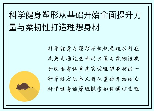 科学健身塑形从基础开始全面提升力量与柔韧性打造理想身材