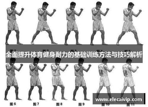 全面提升体育健身耐力的基础训练方法与技巧解析